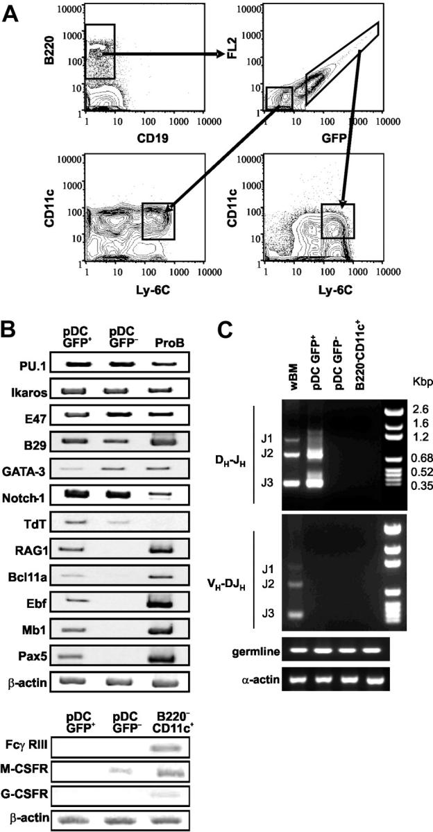 Figure 6.