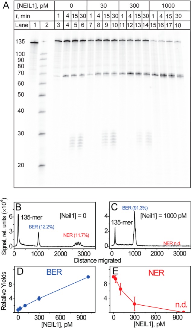 FIGURE 9.