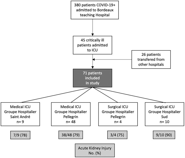 FIGURE 1