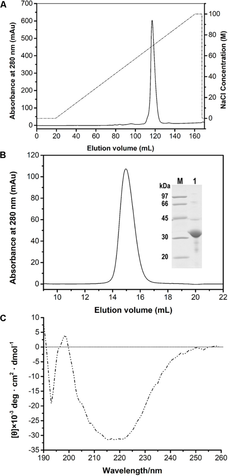 FIGURE 2