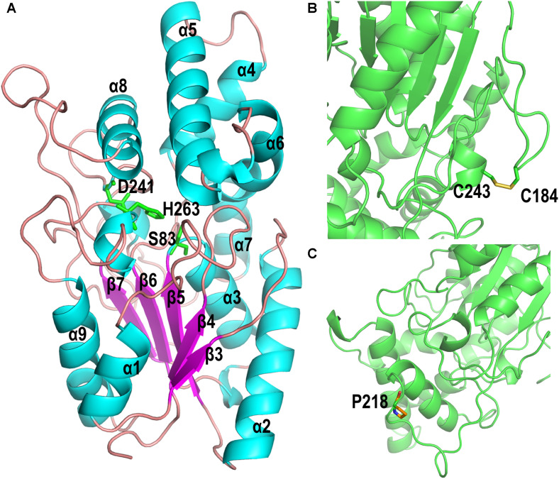 FIGURE 6