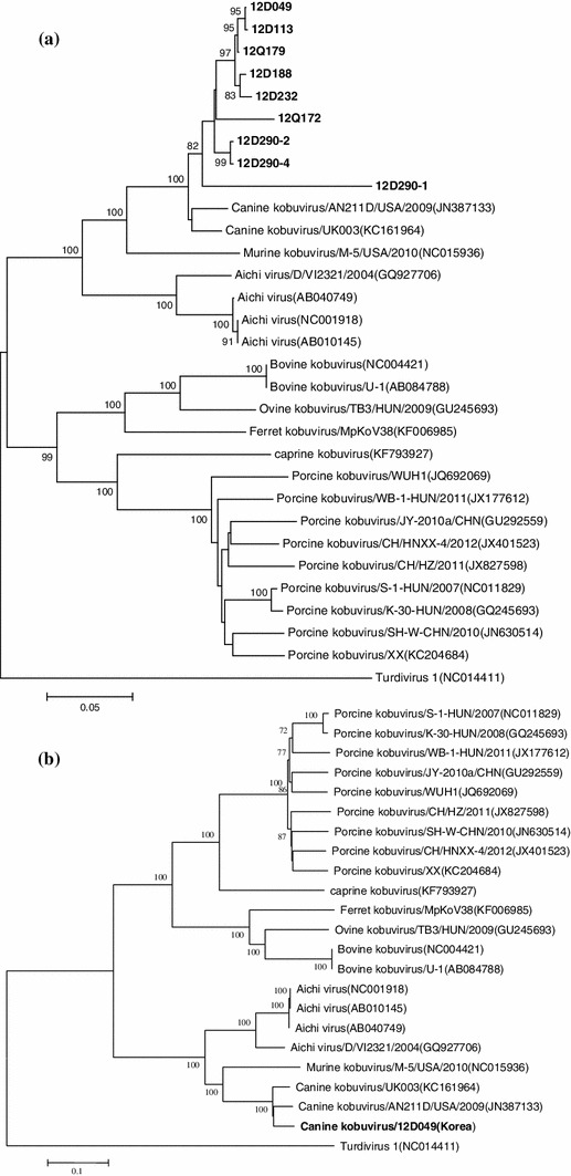 Fig. 1