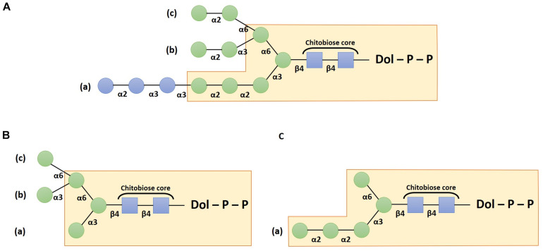 FIGURE 1