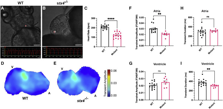 Figure 4