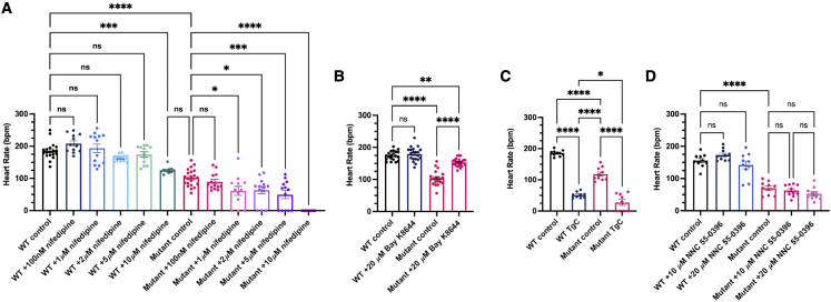 Figure 5