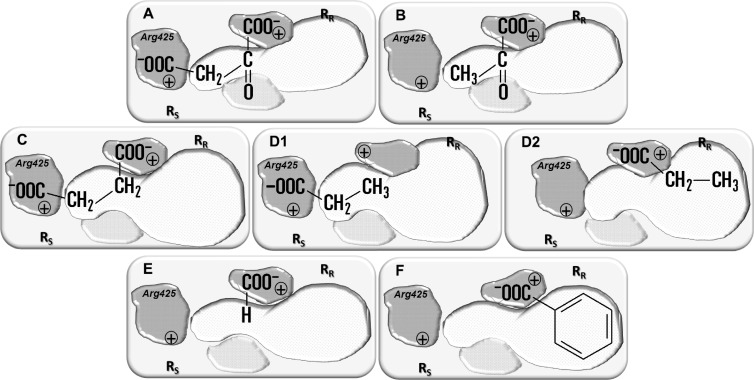 Fig 8