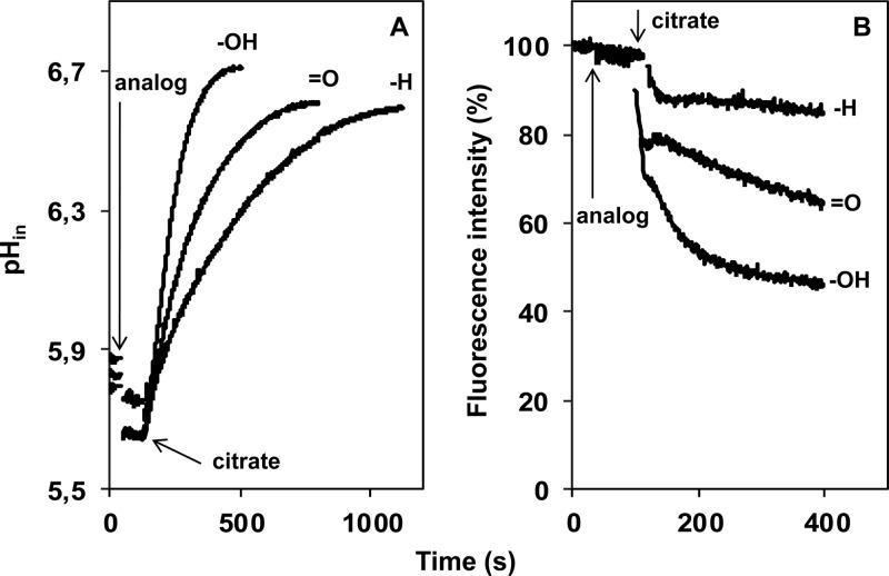 Fig 5