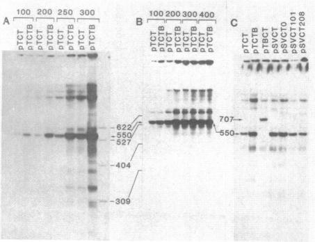 graphic file with name pnas00603-0029-a.jpg