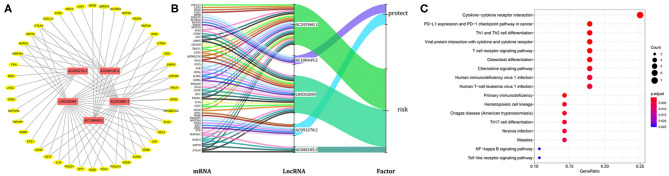 Figure 6