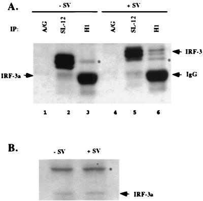 FIG. 6