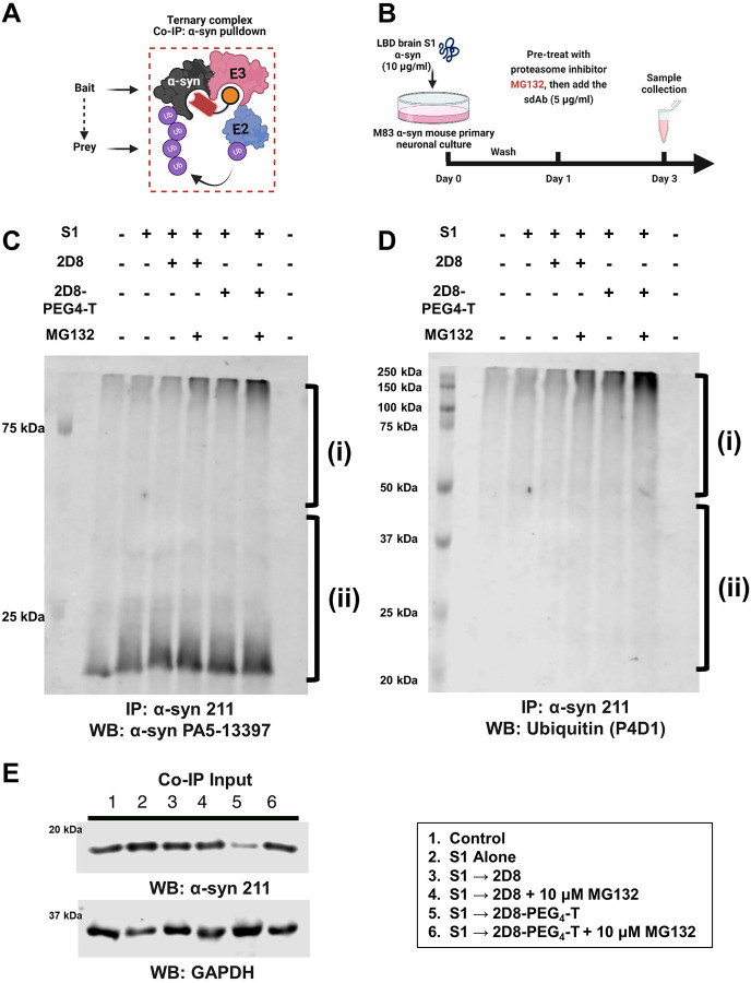 Figure 6: