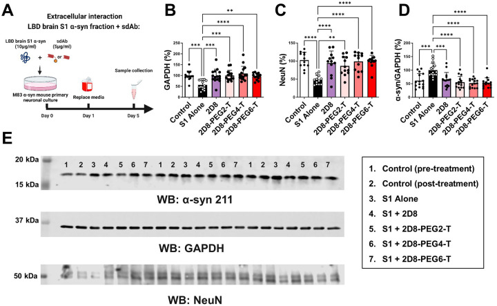 Figure 3: