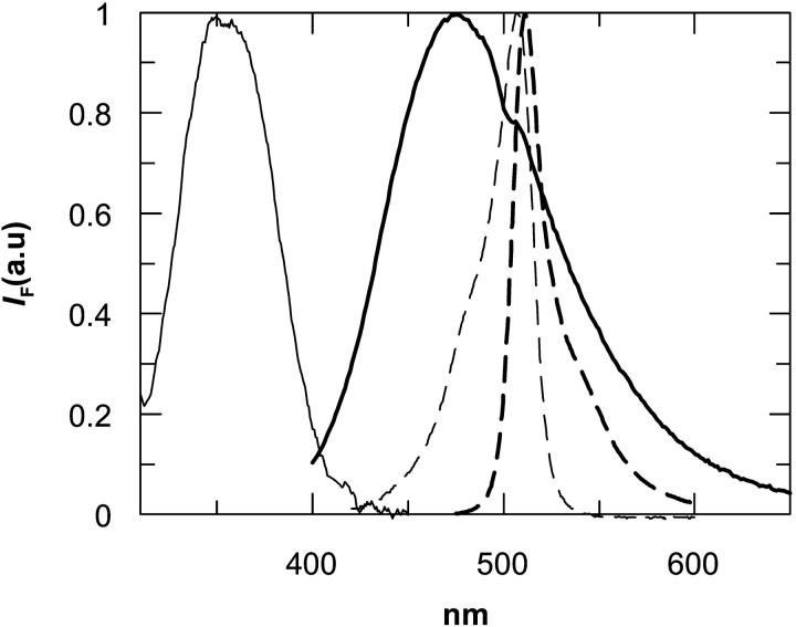 FIGURE 3