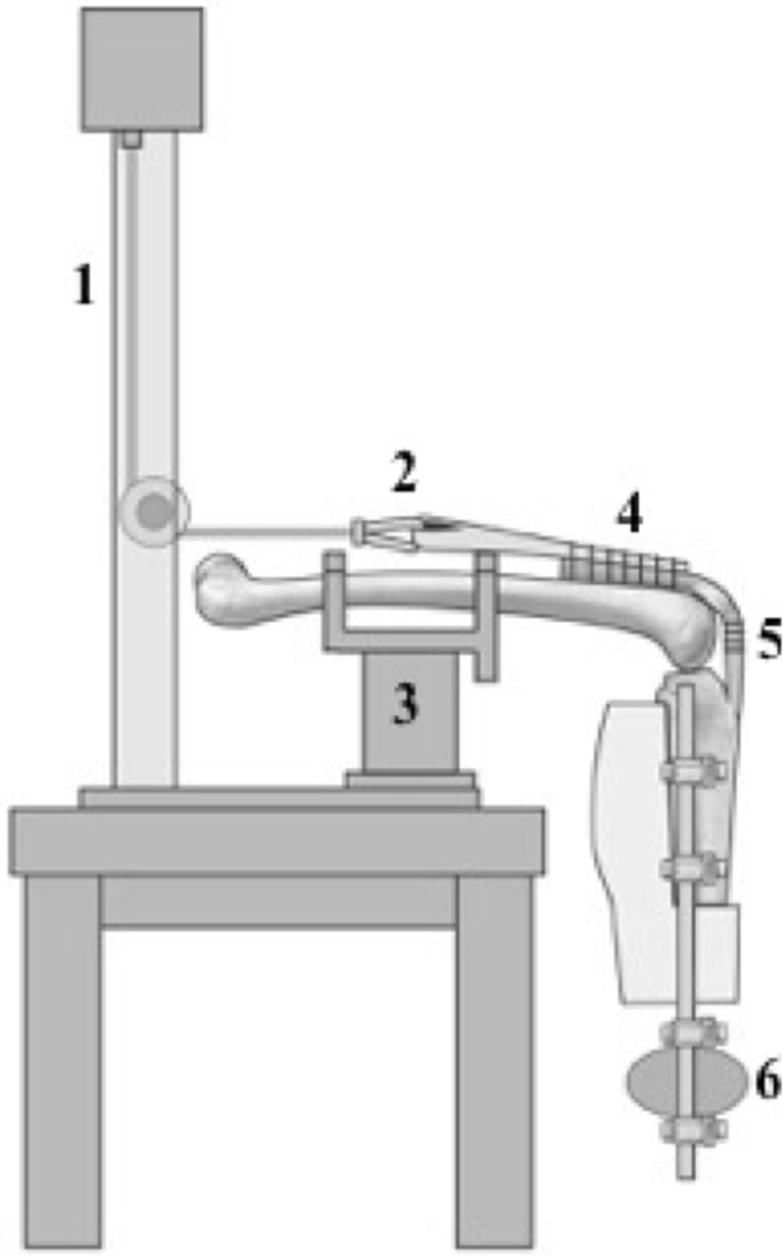 Fig. 5