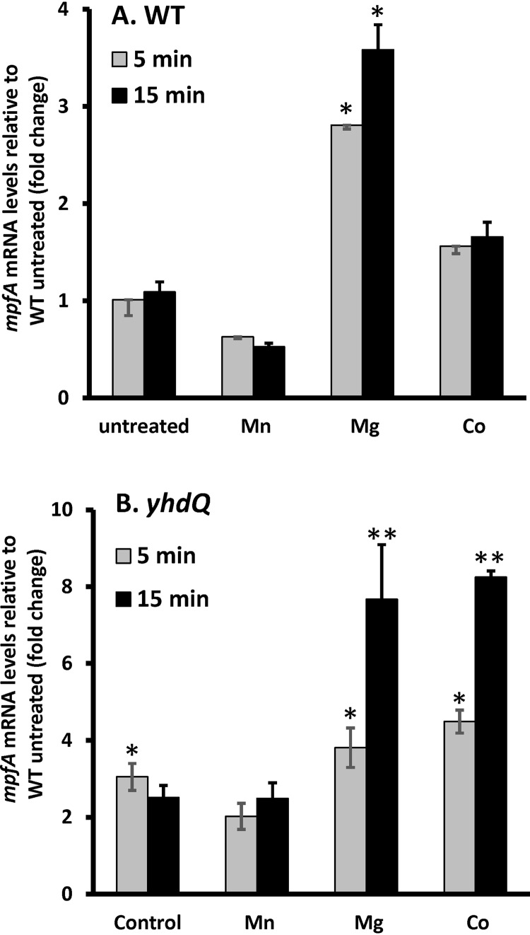 FIG 4