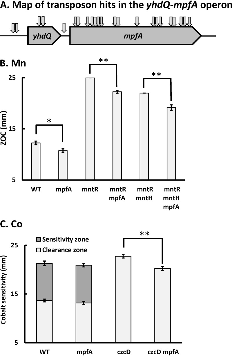 FIG 1