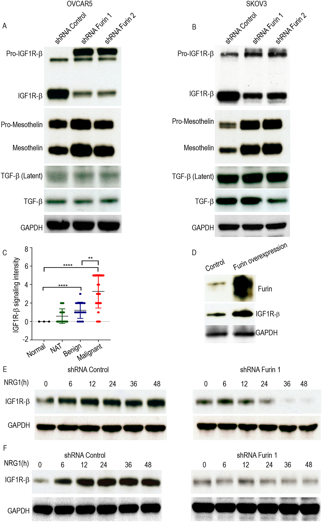 Fig 4.