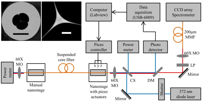 Fig. 1