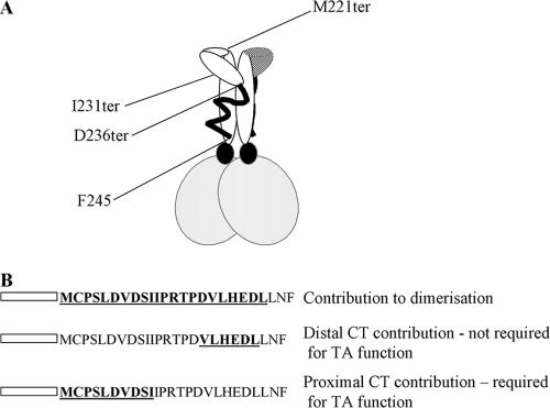 FIG. 8.