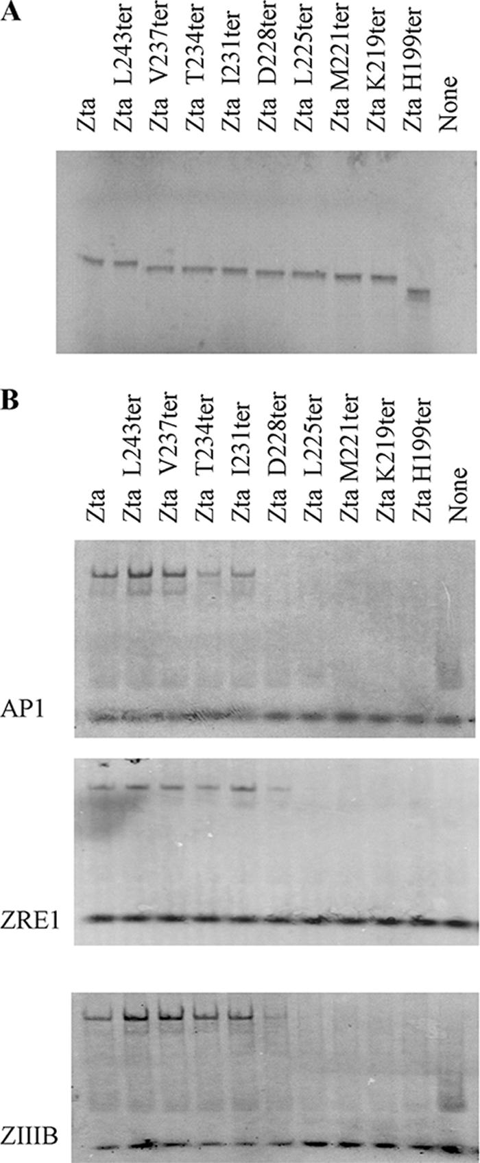 FIG. 5.