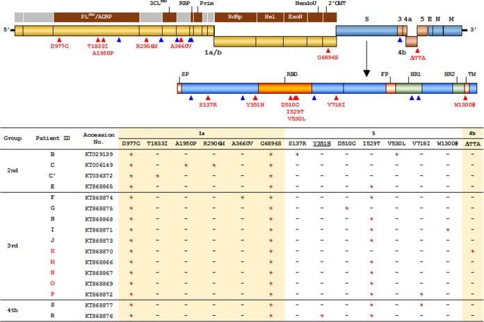 FIG 2 