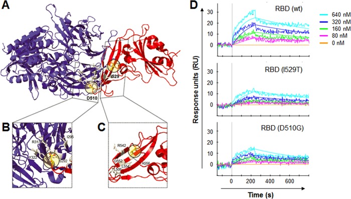 FIG 3 