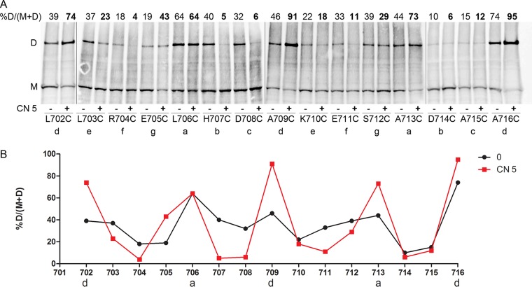 FIG 4 