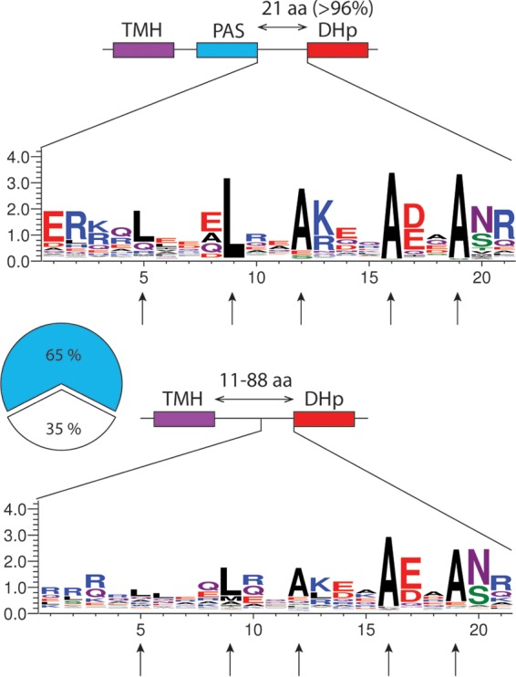 FIG 3 