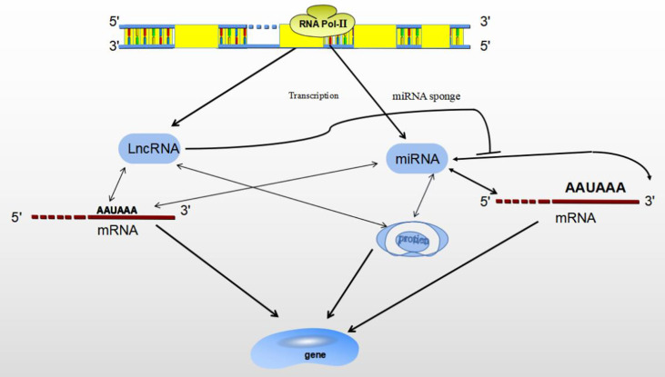 Figure 3