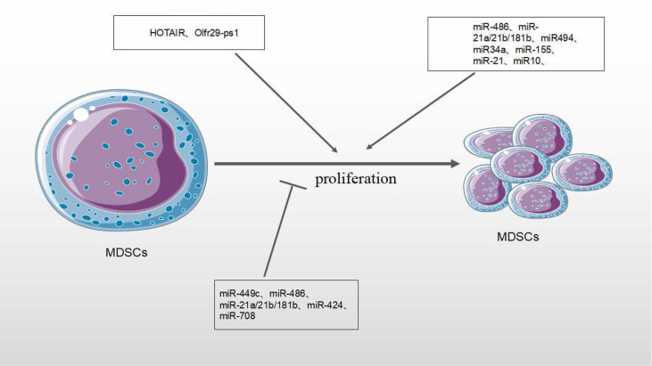 Figure 5