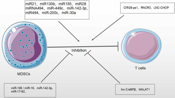 Figure 7