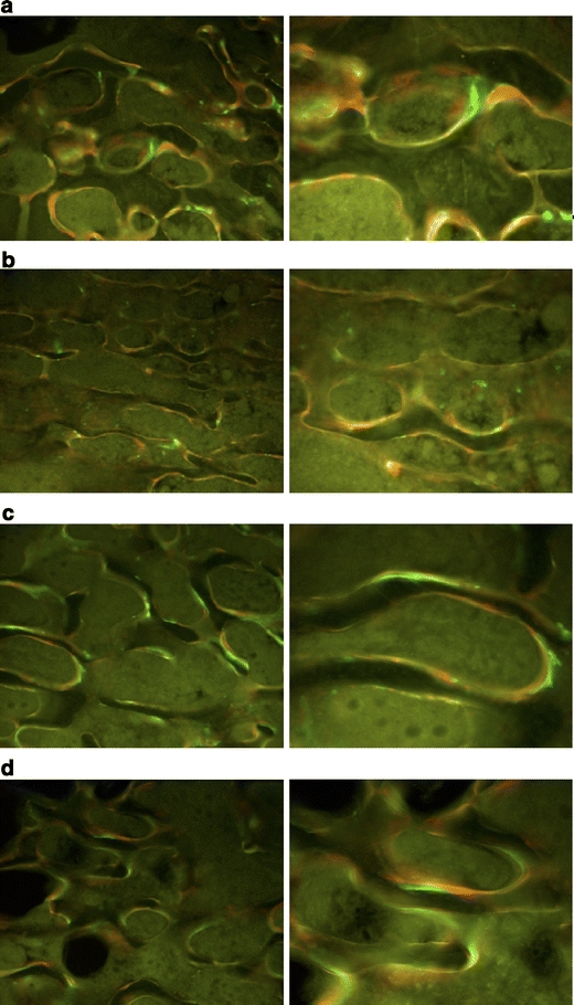 Fig. 4