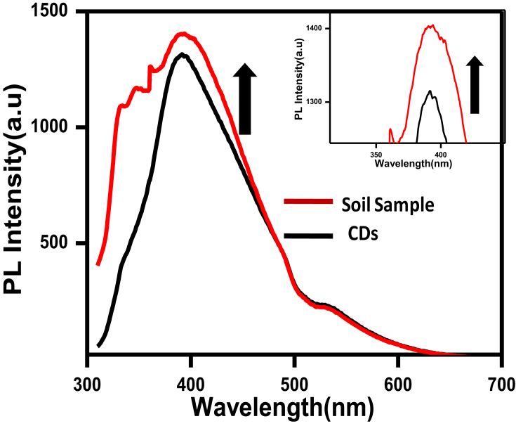 Fig. 8