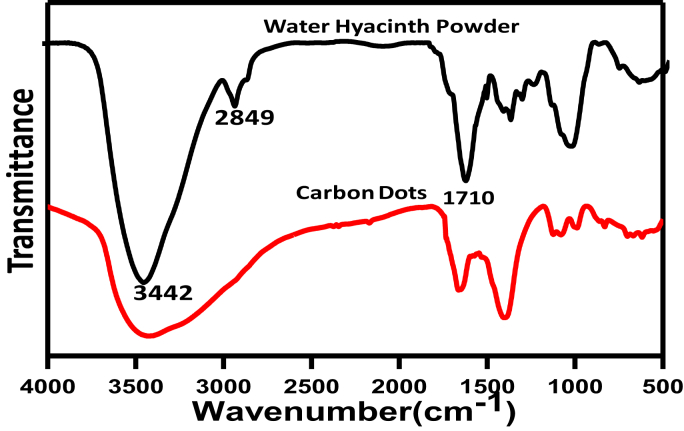 Fig. 3