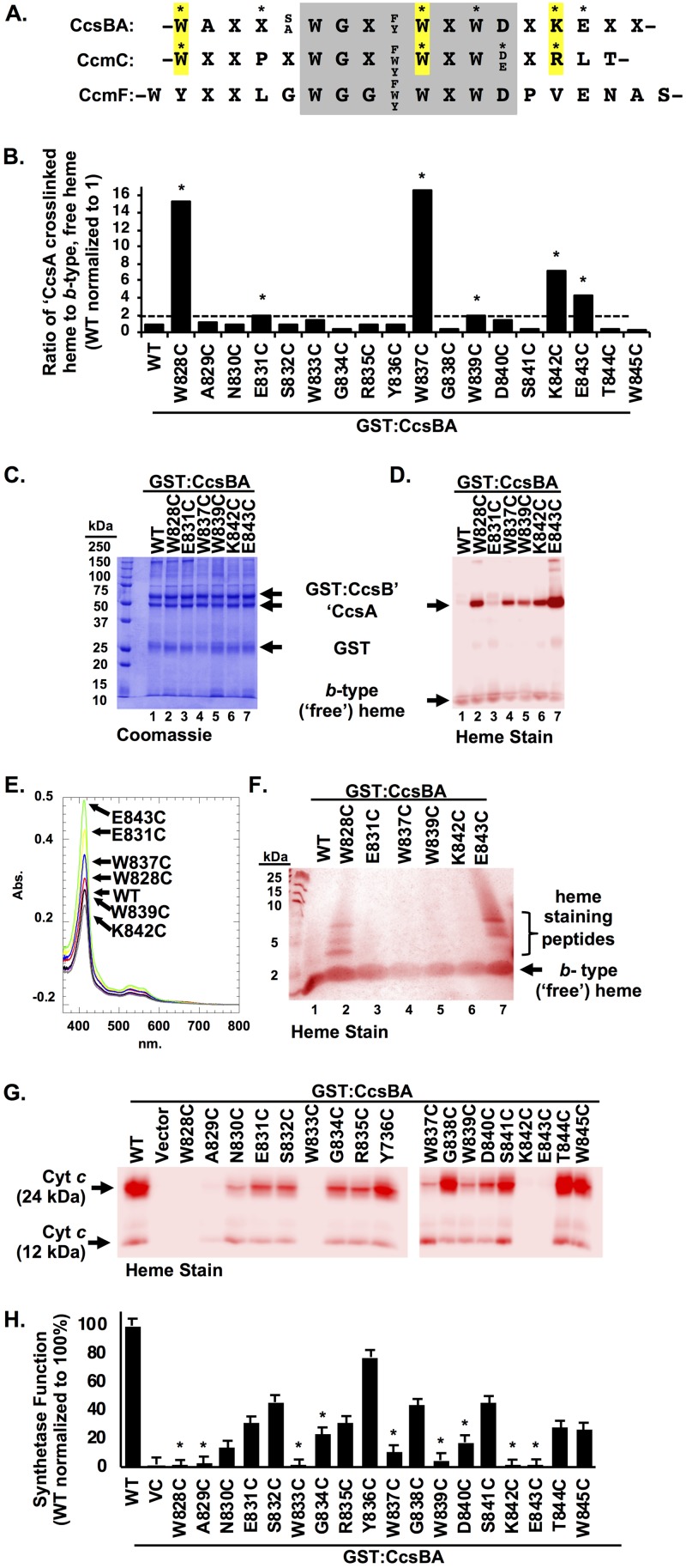 FIG 4