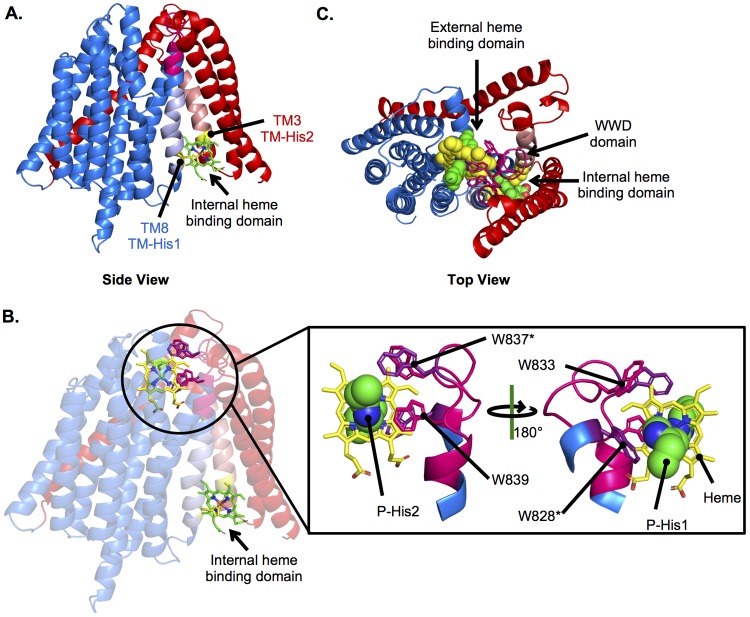 FIG 6