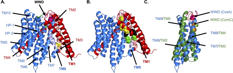 FIG 2