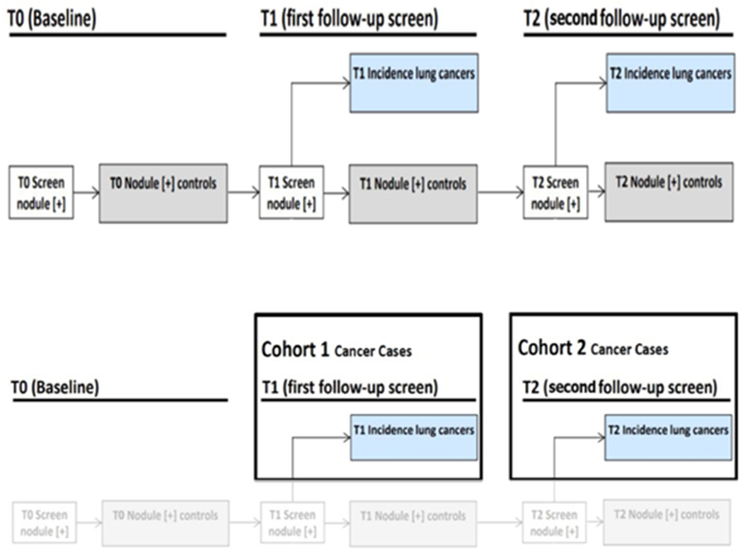 Figure 1: