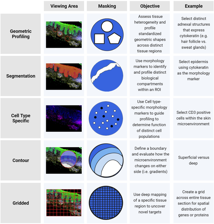 Spatial Transcriptomics in Inflammatory Skin Diseases Using GeoMx ...