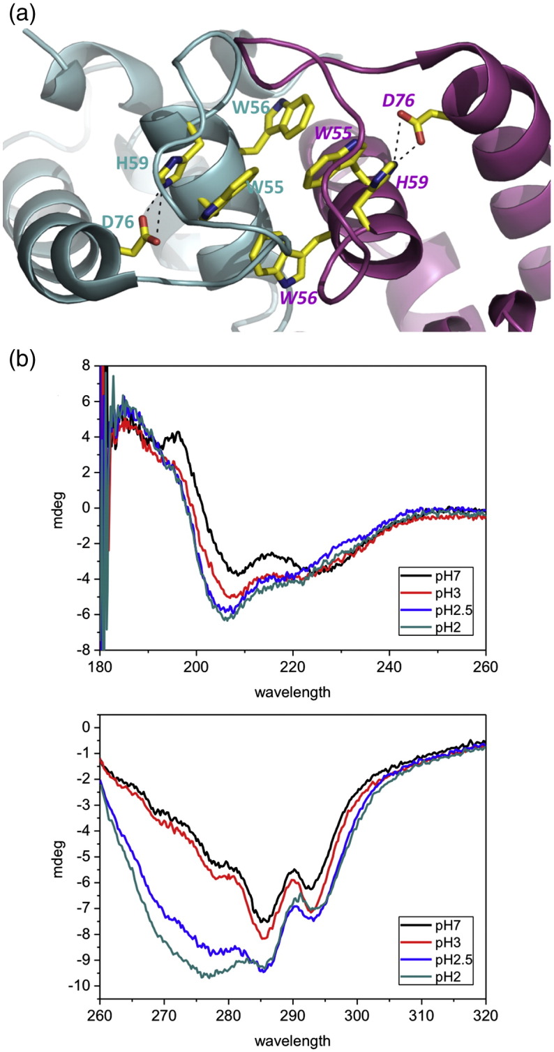 Fig. 4