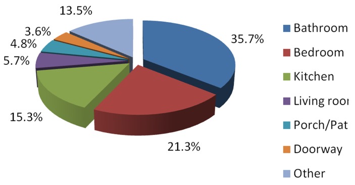 Figure 1: Room/location in home where fall injuries occurred (n=333)