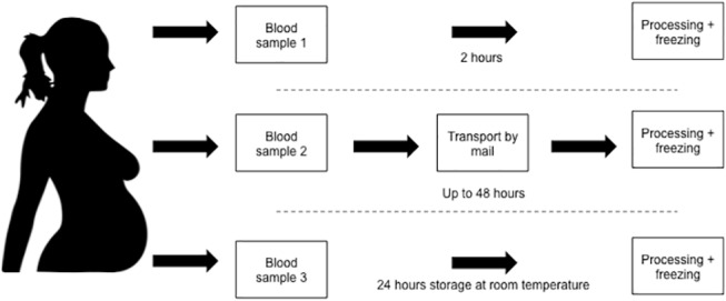 Fig 1