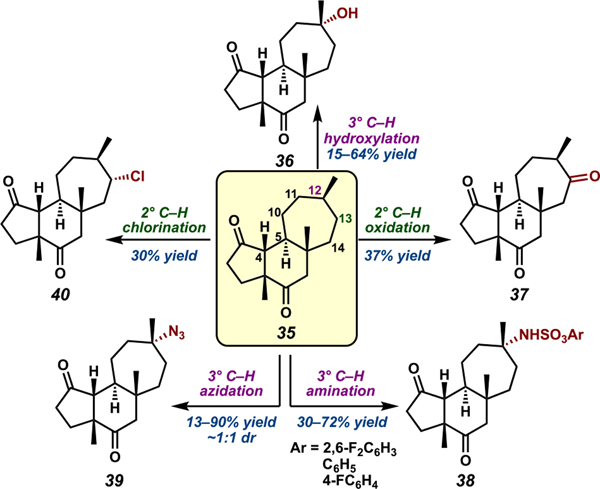 Scheme 6.