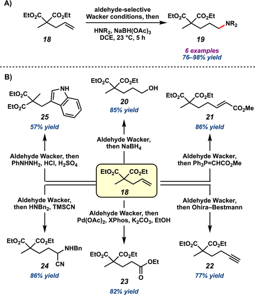 Scheme 3.