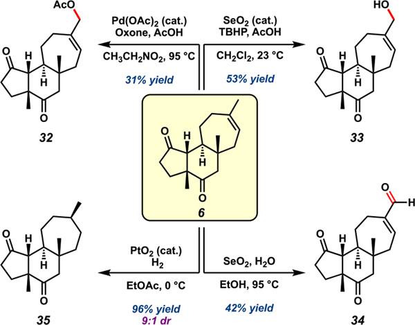 Scheme 5.