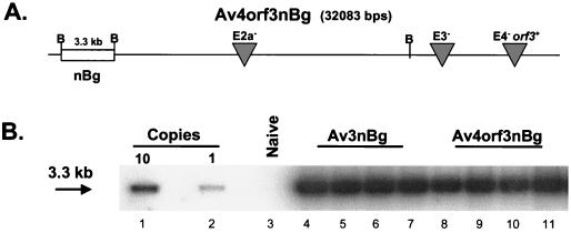 FIG. 4