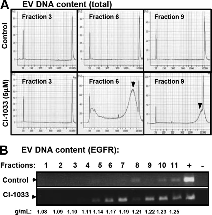 FIGURE 10.