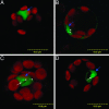 Fig. 4.