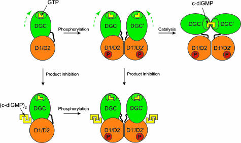 Fig. 4.