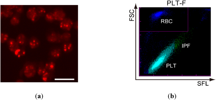 Fig. 2